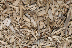 biomass boilers Burgates